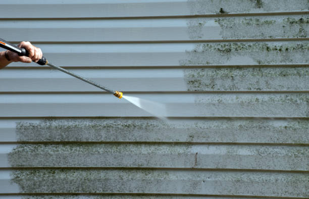 Best Affordable Mold Removal  in Toppenish, WA