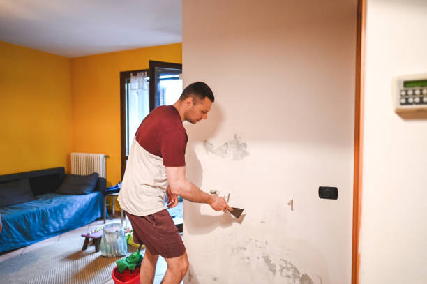 Best Office Mold Removal Services  in Toppenish, WA