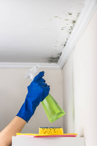 Best Crawl Space Mold Removal  in Toppenish, WA